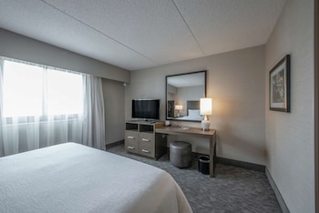 Executive Suite, 1 King Bed