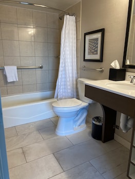 Suite, 1 King Bed with Sofa bed, Accessible, Bathtub