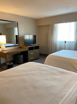 Executive Suite, 2 Double Beds