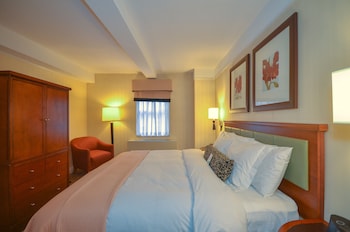 Elite Suite,1 Queen Bed, One-bedroom Apartment with Separate but adjoining Living Space and Sofa Bed