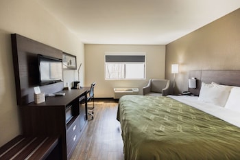 Standard Room, 1 King Bed, Non Smoking