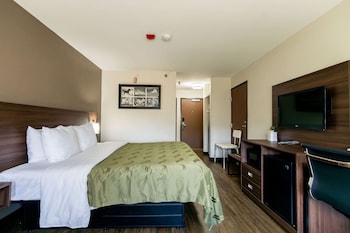 Standard Room, 1 King Bed, Non Smoking