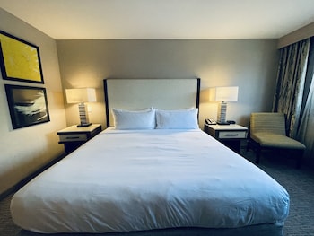 Room, 1 King Bed, Accessible