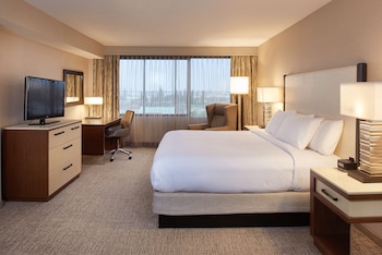 Luxury Suite, 1 King Bed