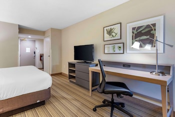 Room, 1 King Bed, Non Smoking