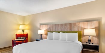 Room, 1 King Bed, Non Smoking