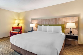 Room, 1 King Bed, Non Smoking