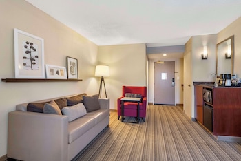 Studio, 1 King Bed with Sofa bed, Non Smoking (Roll-in Shower)