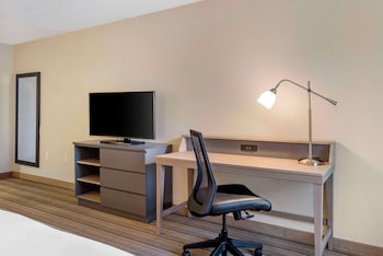 Studio, 1 King Bed with Sofa bed, Non Smoking