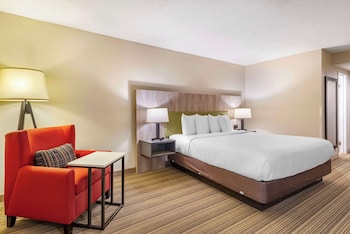 Room, 1 King Bed, Non Smoking