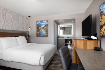 Standard Room, 1 Queen Bed, Non Smoking, Refrigerator & Microwave