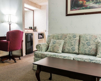 Suite, 1 King Bed with Sofa bed, Non Smoking
