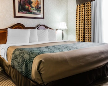 Suite, 1 King Bed with Sofa bed, Non Smoking