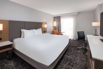 Suite One King Bed Non-Smoking