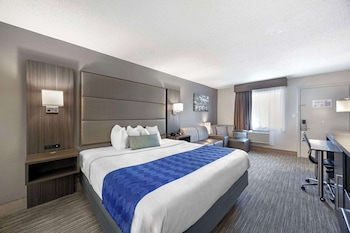 Standard Room, 1 King Bed, Non Smoking, Refrigerator & Microwave