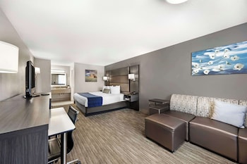 Standard Room, 1 King Bed, Non Smoking, Refrigerator & Microwave