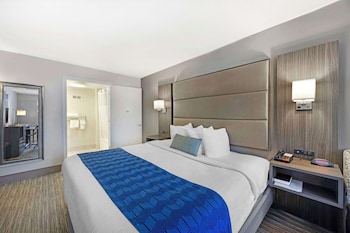 Standard Room, 1 King Bed, Non Smoking, Refrigerator & Microwave