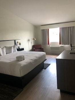 Room, 1 King Bed, Non Smoking (Newly Renovated)