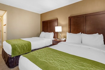 Standard Room, 2 Double Beds, Non Smoking