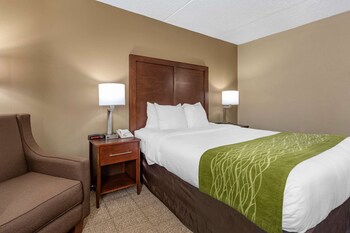 Standard Room, 1 Queen Bed, Non Smoking