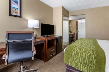 Standard Room, 1 King Bed, Non Smoking