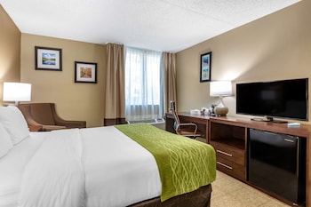Room, 1 King Bed, Accessible, Non Smoking