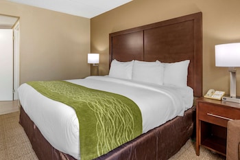Standard Room, 1 King Bed, Non Smoking