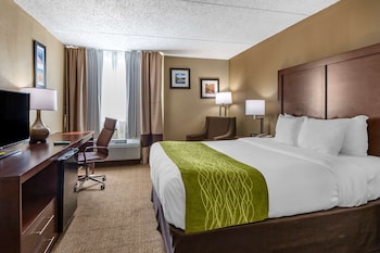 Standard Room, 1 Queen Bed, Non Smoking
