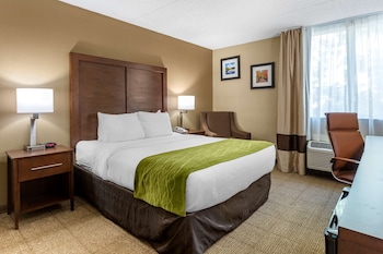 Room, 1 King Bed, Accessible, Non Smoking