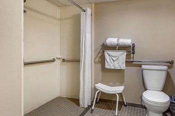 Room, 1 King Bed, Accessible, Non Smoking