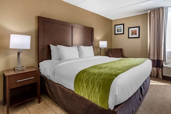 Standard Room, 1 King Bed, Non Smoking