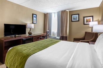 Standard Room, 1 Queen Bed, Non Smoking