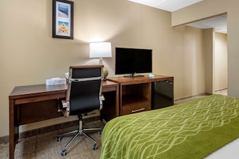 Room, 1 King Bed, Accessible, Non Smoking