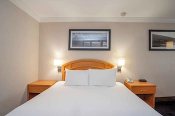 Standard Room, 1 King Bed (Monashee Building)