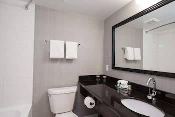 Standard Room, 2 Double Beds (Selkirk Building)