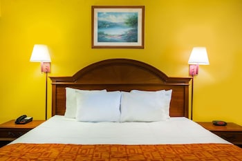 Room, 1 King Bed, Accessible, Smoking