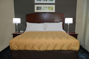 Suite, 1 King Bed with Sofa bed, Non Smoking