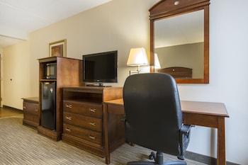 Standard Single Room, 1 Queen Bed, Accessible