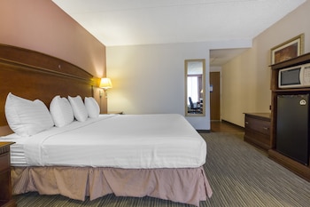 Standard Room, 1 King Bed, Non Smoking