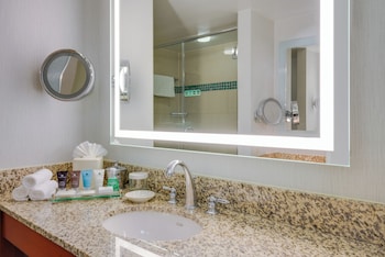 Standard Room, 1 King Bed, Roll-in Shower (Communications, Roll-In Shower)