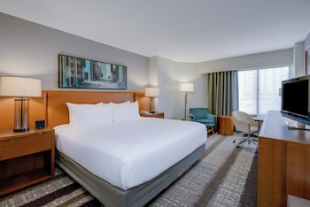 Standard Room, 1 King Bed, Roll-in Shower (Communications, Roll-In Shower)