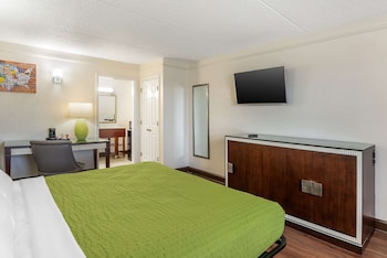 Standard Room, 1 King Bed, Non Smoking