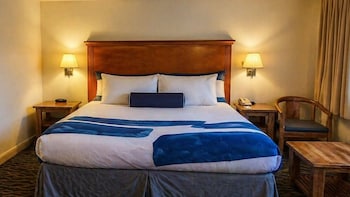 Comfort Room, 1 King Bed