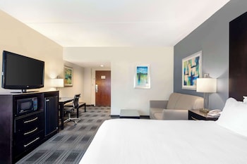 Suite, 1 King Bed, Non Smoking, Refrigerator & Microwave (with Sofabed)