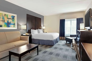 Suite, 1 King Bed, Non Smoking, Refrigerator & Microwave (with Sofabed)