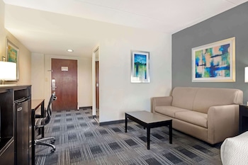 Suite, 1 King Bed, Non Smoking, Refrigerator & Microwave (with Sofabed)