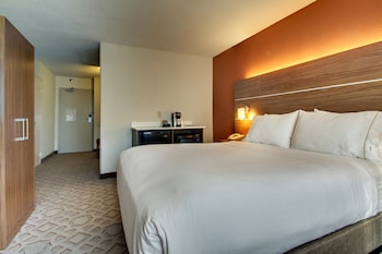 Standard Room, 1 King Bed with Sofa bed