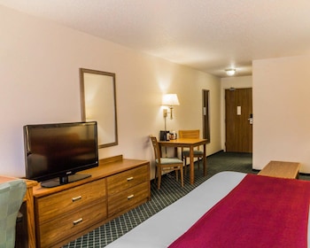 Standard Room, 1 King Bed with Sofa bed, Non Smoking, Refrigerator & Microwave
