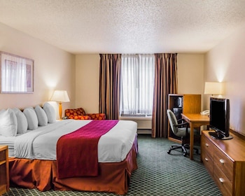 Standard Room, 1 King Bed with Sofa bed, Non Smoking, Refrigerator & Microwave