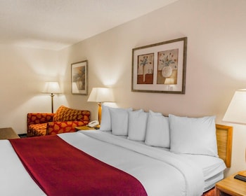 Standard Room, 1 King Bed with Sofa bed, Non Smoking, Refrigerator & Microwave